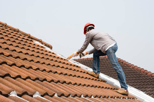 Best Chimney Flashing Repair  in Fayetteville, AR